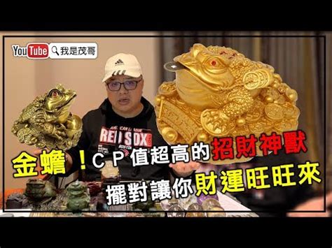 三腳蟾蜍放房間|三腳蟾蜍怎麼放？招財進寶擺放祕訣 